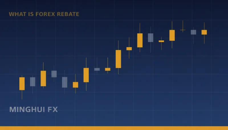What Is a Forex Rebate? A Beginner's Guide